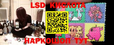 крисы Гай