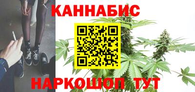 крисы Гай