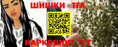 крисы Гай