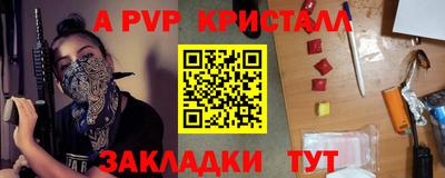 крисы Гай