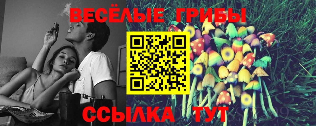 Новоалександровск  Псилоцибиновые грибы Psilocybine cubensis  как найти   Вход с VPN 