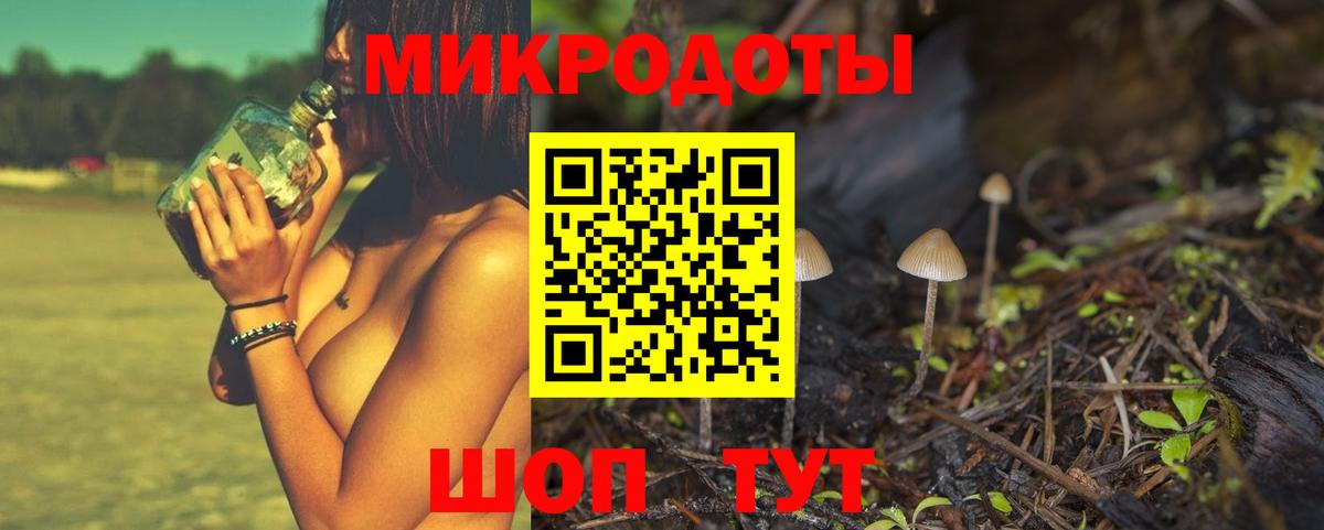 Псилоцибиновые грибы Cubensis Новоалександровск